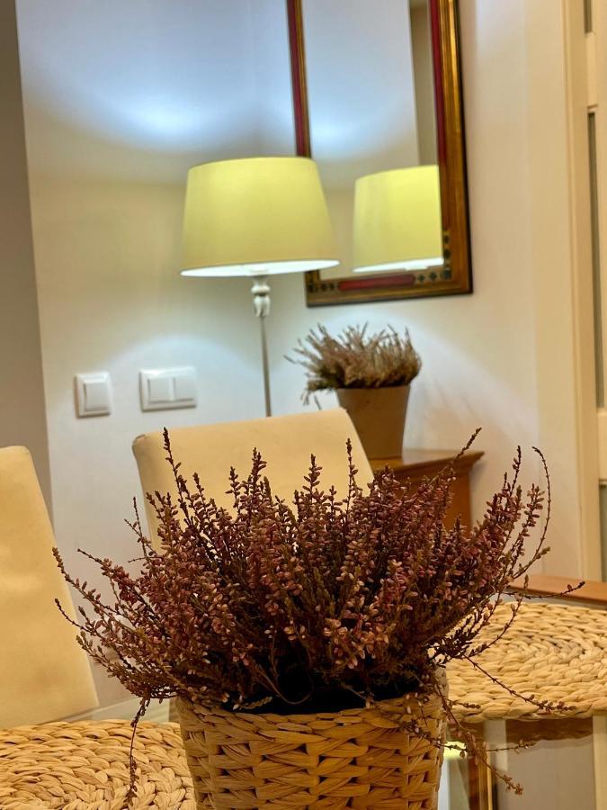 Ferienwohnung Atico Al Lado Del Ayuntamiento Oviédo Exterior foto